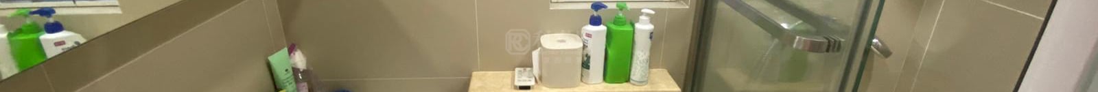 BEVERLY GARDEN Block 9 Very High Floor Zone Flat G Tseung Kwan O