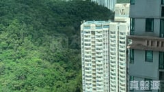 新都城 2期 7座 极高层 D室 将军澳