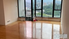 悠然山莊 12座 高層 A室 大埔