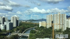 大埔中心 3期 20座 極高層 D室 大埔
