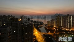 大埔中心 2期 5座 極高層 B室 大埔