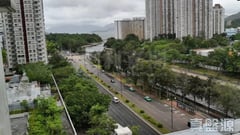 大埔中心 2期 5座 中層 D室 大埔