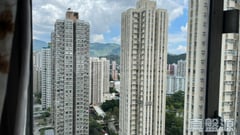 大埔中心 6期 12座 極高層 B室 大埔