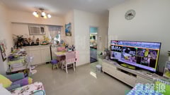 新達廣場 4座 極高層 G室 大埔