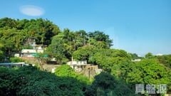 新峰花園 2期 2座 高層 C室 大埔