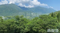 倚龍山莊 大埔