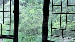 倚龍山莊 37座 大埔