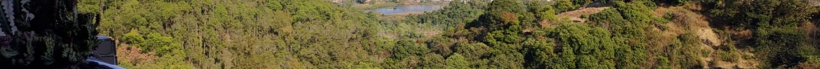 RICHWOOD PARK Tai Po