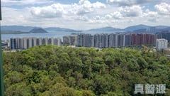 鹿茵山莊 鹿怡居 1座 中層 C室 大埔