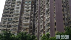 逸雅苑 逸欣閣 (B座) 12室 大埔