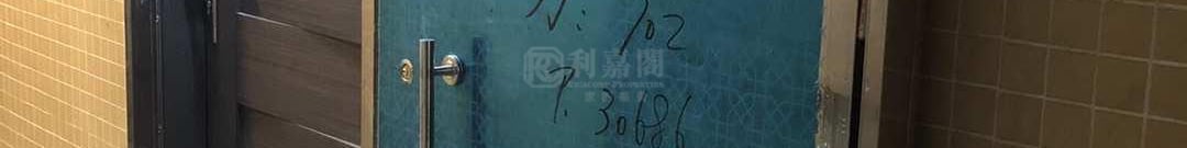 逸雅苑 逸欣阁 (B座) 低层 18室 大埔