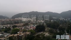 寶雅苑 興和閣 (B座) 高層 13室 大埔