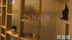 君臨天下 1座 高層 E室 九龍站/尖沙咀/佐敦