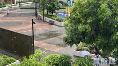 翠怡花園 1期 4座 低層 B室 青衣
