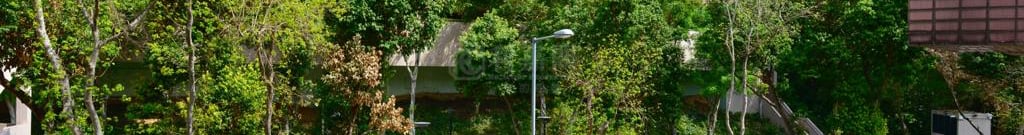 PRISTINE VILLA Block 7 Medium Floor Zone Sha Tin/Fo Tan/Kau To Shan