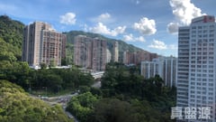 金狮花园 2期 金宁阁 (D座) 高层 4室 大围