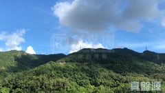 金獅花園 2期 金寧閣 (D座) 高層 4室 大圍
