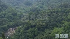 荃灣中心 瀋陽樓 (19座) 高層 D室 荃灣