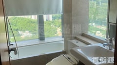 縉庭山 1座 極高層 D室 荃灣