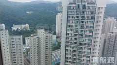 翠豐臺 2座 極高層 H室 荃灣