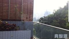 縉庭山 3座 低層 B室 荃灣