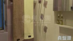 愉景新城 3期 11座 低層 D室 荃灣