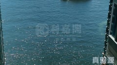 海逸豪園 5期 翠堤灣 22座 A室 紅磡/黃埔/海逸