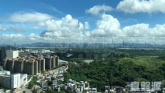 新元朗中心 3座 極高層 C室 元朗
