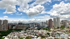 原築 5座 極高層 C室 元朗