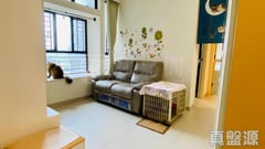 新元朗中心 4座 低層 D室 元朗