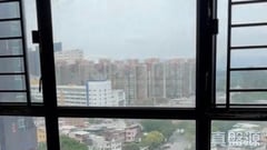 新元朗中心 2座 中層 B室 元朗